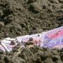 Чиновниця незаконно оформила землю на 4 млн грн