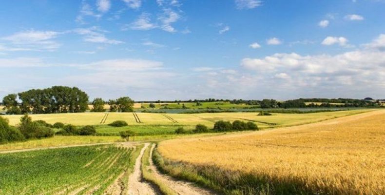 7 га землі у 3 млн грн зайняв бізнесмен самовільно