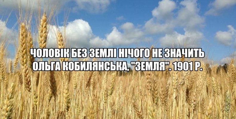Рішення суду щодо землі у Плисках трактують по-своєму