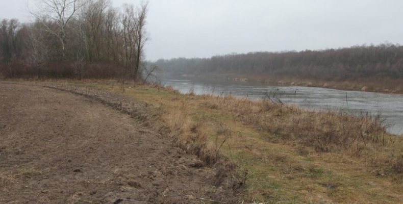 Незаконно розорені прибережні землі повернули державі