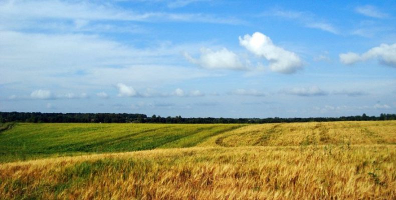 На часі — сплата земельного податку