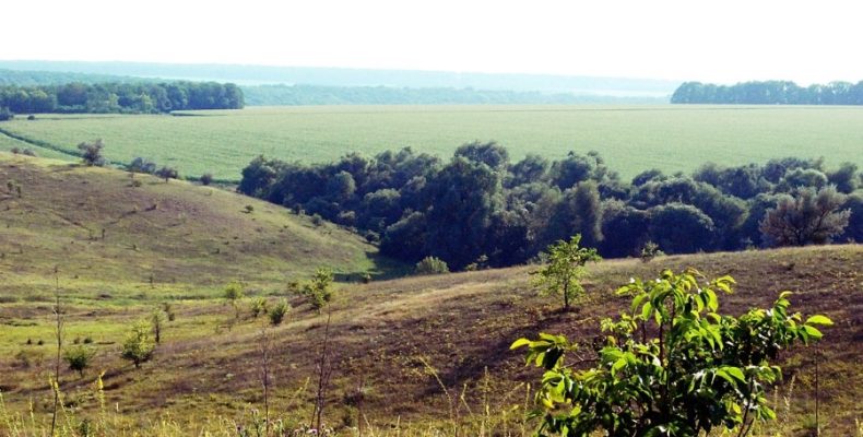 На Чернігівщині 2 гектари землі повернули державі