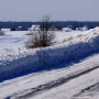 19 січня діти бігали босоніж, а в квітні птахи замерзали від морозів